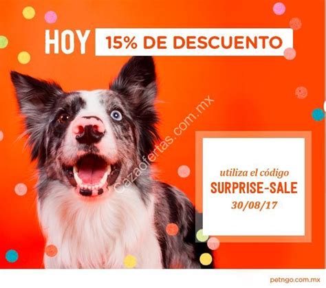 15 de descuento en toda la tienda online Pet N Go sólo hoy 30 de agosto