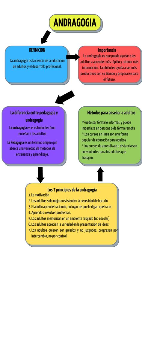 Infografia De Andragogia La Andragogía Es Que Puede Ayudar A Los