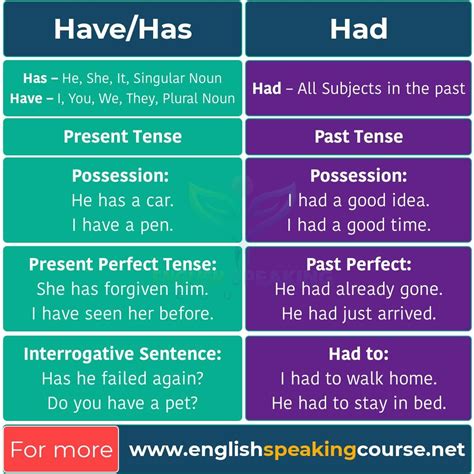 Have Has Had Basic English Grammar Grammar