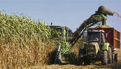 Industria Azucarera Agroindustria