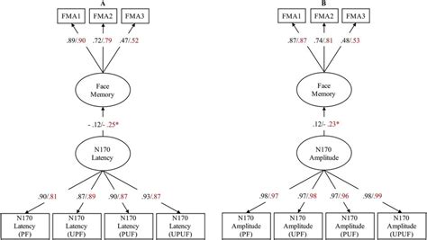 Multiple Group Models Of Testing Brain Behavior Relations In Males And Download Scientific