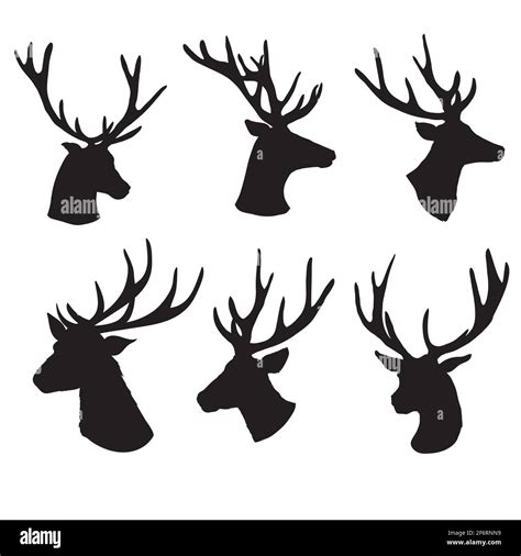 Deer Head Stock Vector Images Alamy