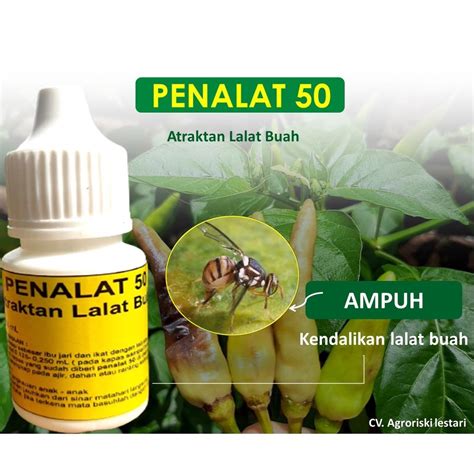 Jual PENALAT 50 (Atraktan Lalat Buah) 10 mL PERANGKAP DAN PENARIK LALAT BUAH, HAMA TANAMAN ...