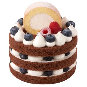 Blueberry Chocolate Naked Cake Mon Cher