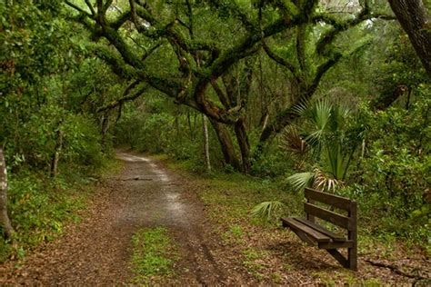 Hiking Trails in Tampa … Along Peaceful Paths – Mountaineering Guru