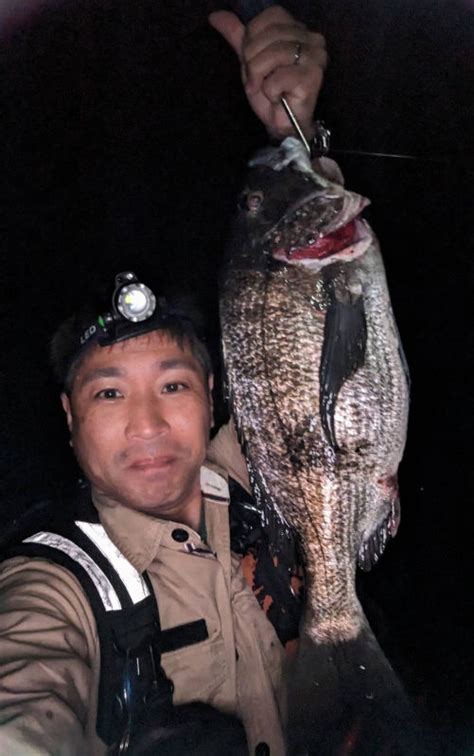 メバリング釣行。メバルにチヌやヒラスズキヒット／双海（愛媛県伊予市） 釣りぽ Tsuripo