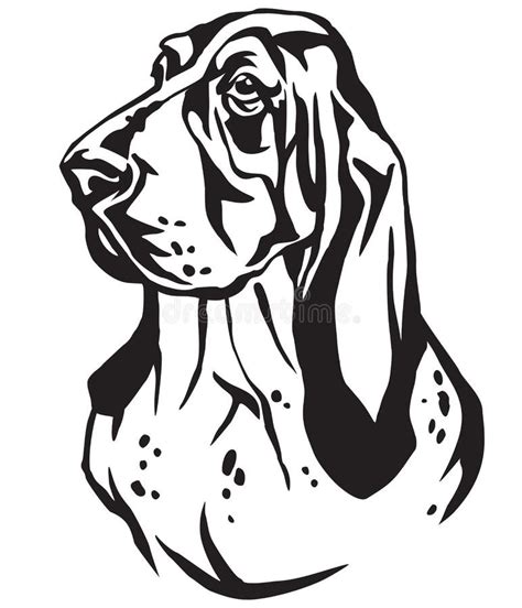 Basset Hound Clipart Black And White - img-brah