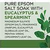 Dr Teal S Pure Epsom Salt Soaking Solution Eucalyptus Spearmint