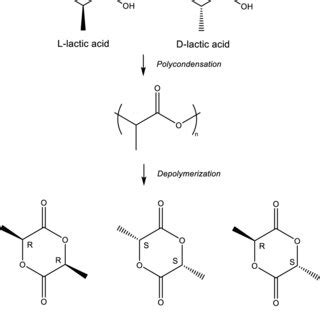 (PDF) Polylactic acid synthesis, biodegradability, conversion to ...