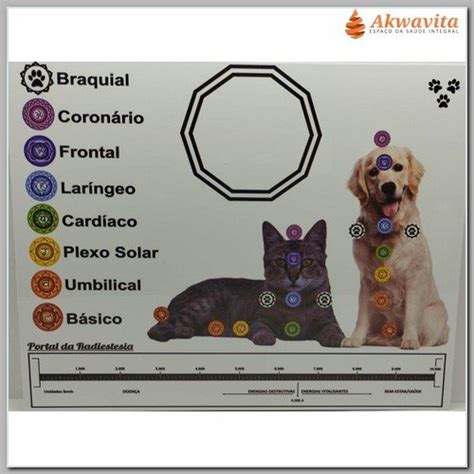 Gr Fico Pets Chakras Dec Gono Bi Metro Pvc X Cm Pluz