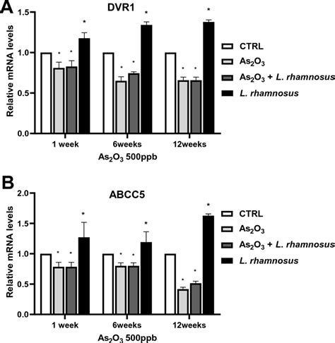 QPCR Graphs Show The Gene Expression Of DVR1 A And ABCC5 B In