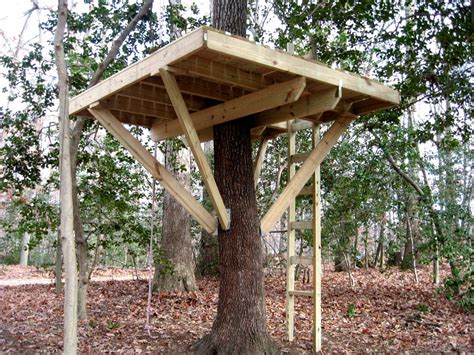 How To Build A Treehouse In A Tree At John Chase Blog