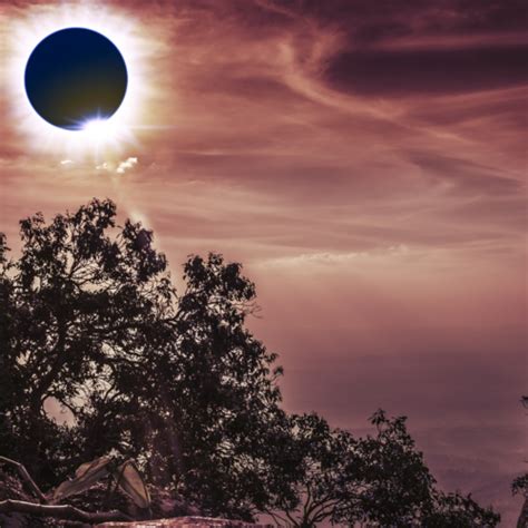 Eclipse Watch Griffith Observatory Southern Californias