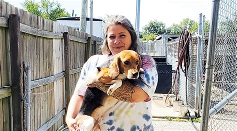 Beagles Rescued From Virginia Facility The Waynedale News