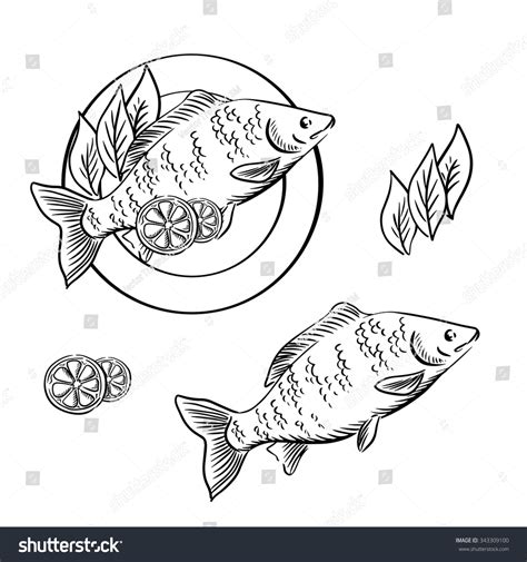 Spicy Seabass Over 21 Royalty Free Licensable Stock Vectors Vector