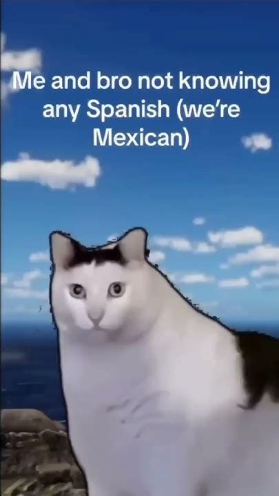 Me And Bro Not Knowing Any Spanish Were Mexican Meme From Discord