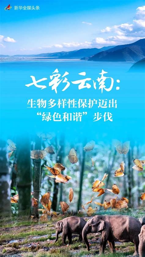 七彩云南：生物多样性保护迈出“绿色和谐”步伐 Isenlin Cn