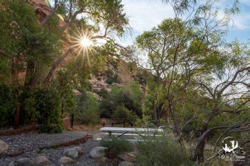 Red Rock Canyon Scenic Drive Best Stops Hikes Permit Info