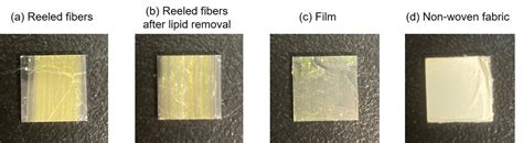 Spider silk properties analyzed for use as bio-based fibers in the ...