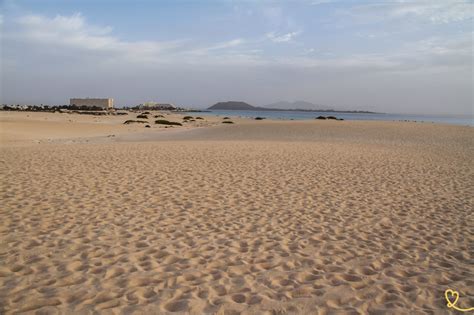 Corralejo Sand Dunes Natural Park (Fuerteventura) - Guide + Photos