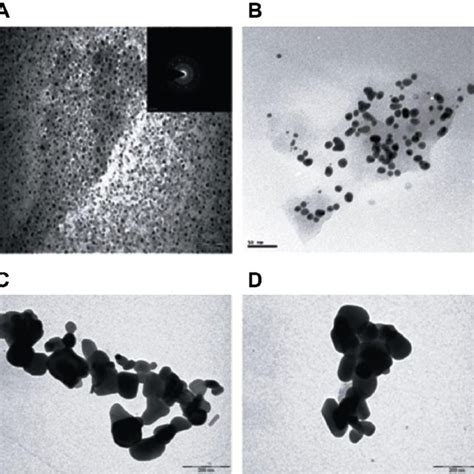 Ftir Spectrum Of The Gold Nanoparticles Obtained Using A Cell Free