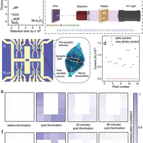 Characterization And Image Memorization In A Sb In O Fpa A Thickness