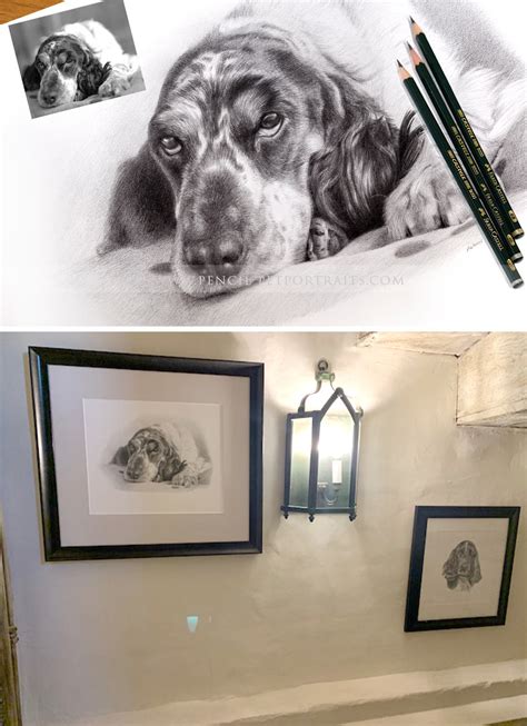 Latest Pencil Pet Portraits