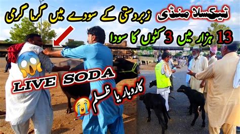 Fight Live Soda Today Taxila Mandi Latest Update 28 July 2023 YouTube