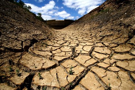 Qual a influência das alterações climáticas na propagação das espécies