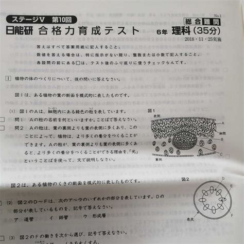 Yahooオークション 日能研 未使用 6年 合格力育成テスト 六年生 11