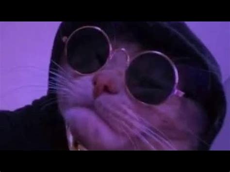 Вот для Шуни - YouTube