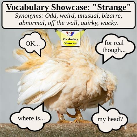 Synonyms For Strange Vocabulary Showcase Wright English