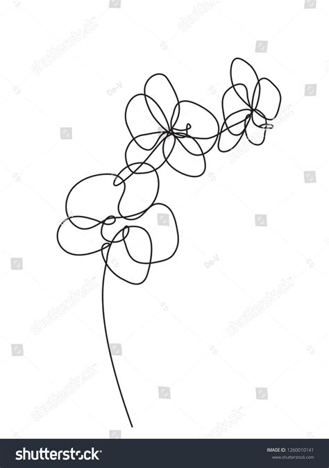 Hand Drawn Orchid Flowers One Line Stock Vector Royalty Free