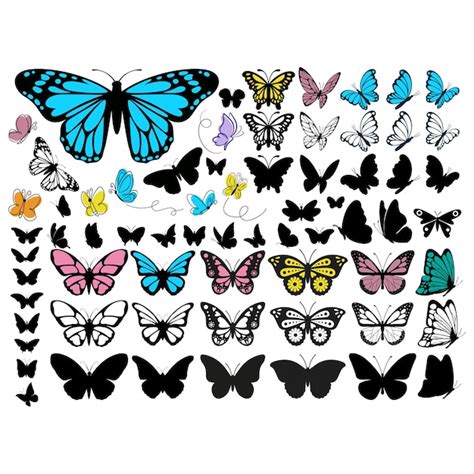 Papillon Vecteur Contour Art Illustration Vecteur Premium