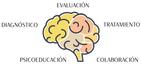 ¿qué Trata La Neuropsicología Clínica