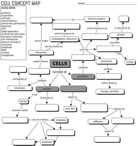 Cell Concept Map