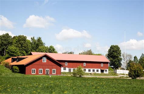 Cow Historical Schultz Farm House Stock Image Image Of Front Beef