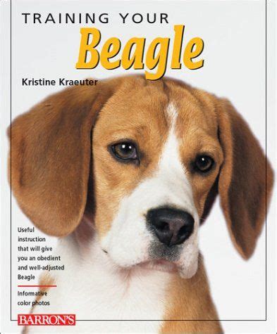 Beagle Dog Training - 5 Tips For Beagle Training | Beagle dog, Beagle ...