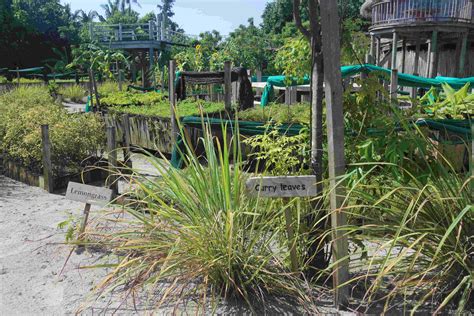 Six Senses Laamu Parola Dordine Sostenibilit Quando Andare Alle