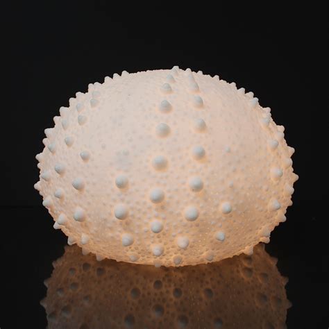 Cast Resin Sea Urchin Lamp Small The Light Garden Touch Of Modern