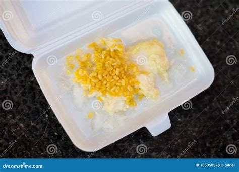 Durian Sticky Rice Coconut Milk Stock Photo - Image of delicious, dish: 105958578