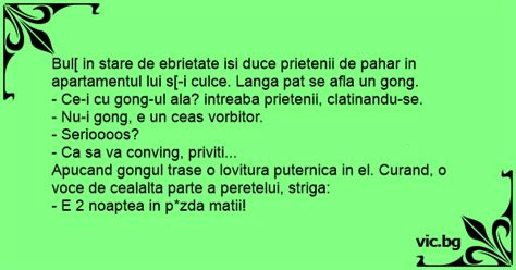 Bul In Stare De Ebrietate Isi Duce Prietenii De Pahar In Apartamentul