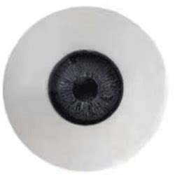 Irontech TPE Male Sex Doll Heads Coeros