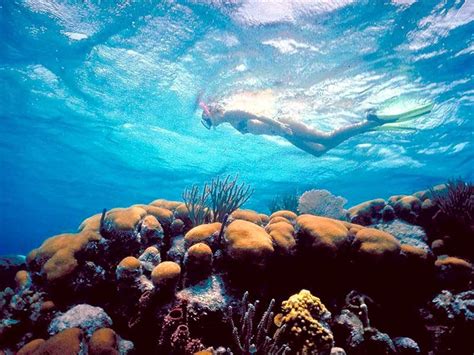 Fraser Island And Great Barrier Reef 5 Or 6 Days Tour Packages In