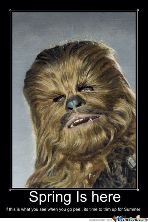 Chewbacca Memes