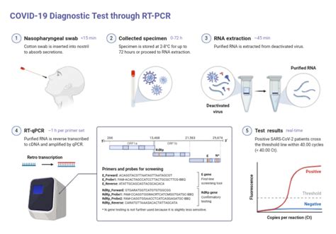 Image Courtesy Https Covidtestingproject Org