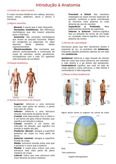 4 Introdução à Anatomia Introdução à Anatomia Divisão do corpo