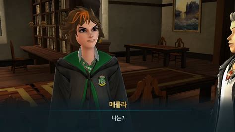 Becoming Friend With Madam Pince Harry Potter Hogwarts Mystery