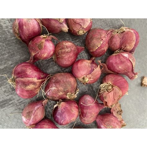 Jual Bawang Merah Brebes Super 1kg Shopee Indonesia