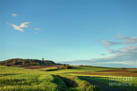 Scrabo Tower Photograph By Jim Orr Fine Art America